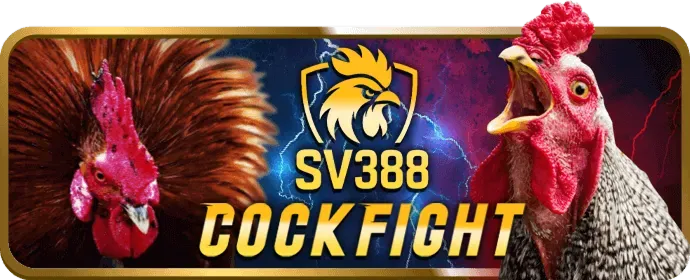 Hướng dẫn cá cược và mẹo chơi từ 123goal